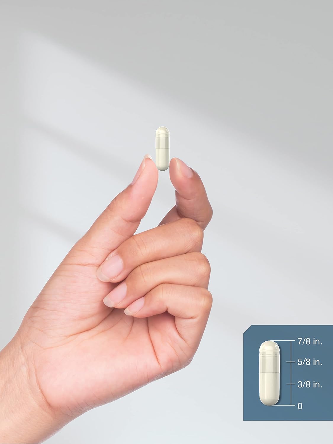 NAC 1200mg | 250 Capsules